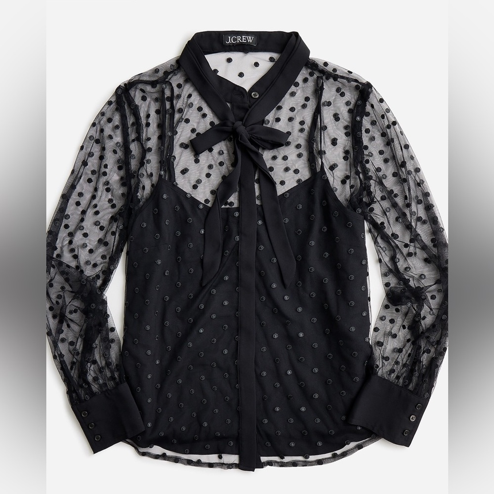 J.Crew Dotted Tulle Sheer Blouse NEW